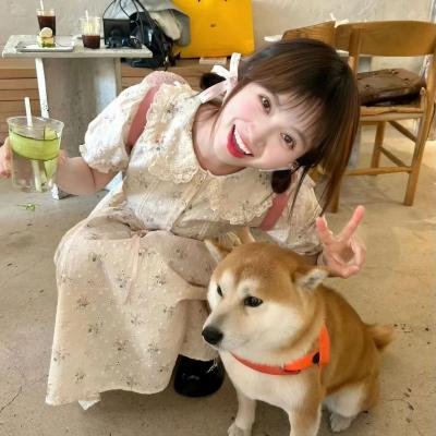 爱在回响